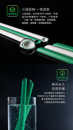 以自然為筆，鐫刻時代之美 偉星產品廣告設計海報的魅力解析